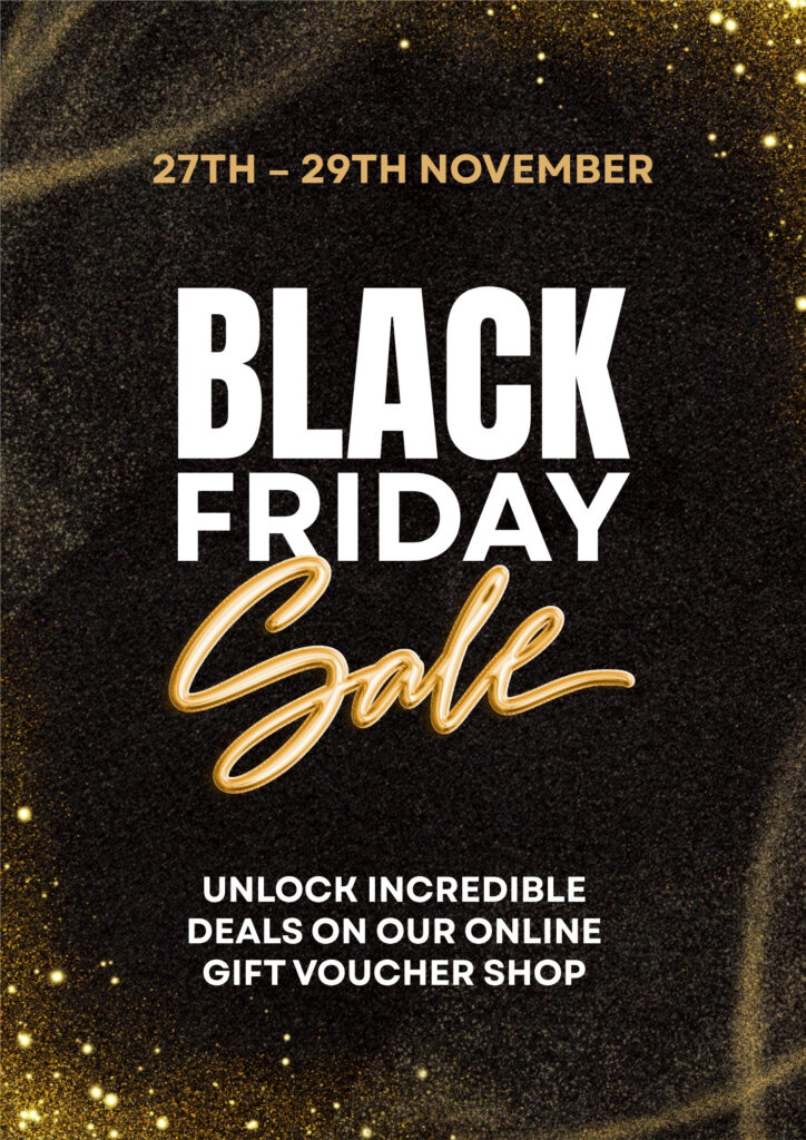 Black Friday 2026 Gold Sparkle Poster